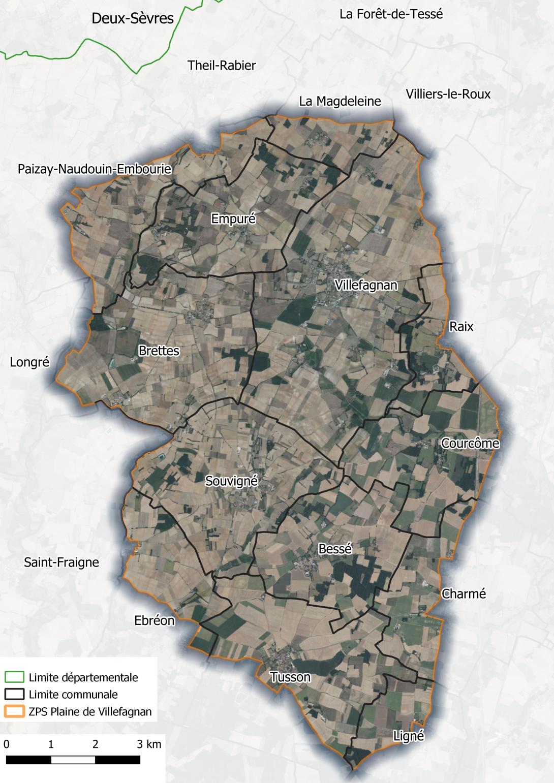 Carto Vilf
